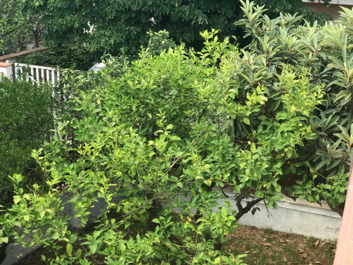 Mondello Aiace 40 Apartman Kültér fotó